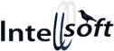 Intelligent Software s.r.o.